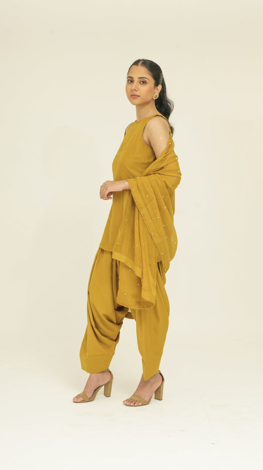 Chamak Dirty Yellow organza set