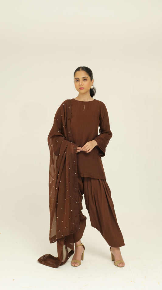 Chamak Chocolate brown organza set